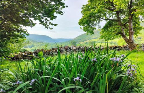 3 Bed in Capel Y Ffin 93362 - Foto 24