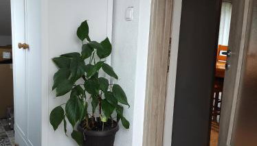 Apartman Lucia - Foto 5