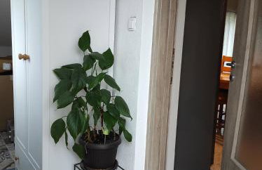 Apartman Lucia - Photo 5