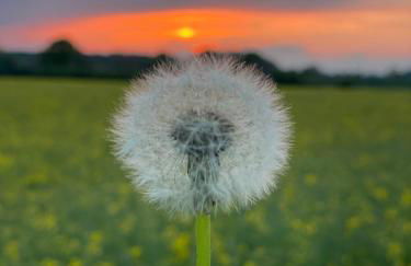 GSand Le Clos du May - Foto 48