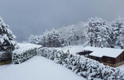 Ca l'Avet - Photo 14