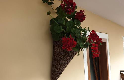 Casa Tiziano e Nila - Photo 4