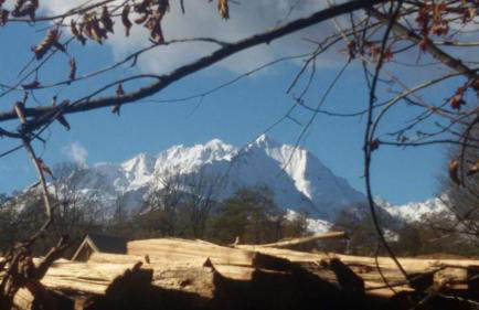 Chalet Le Gentiane - Photo 9