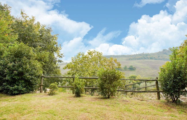 Villa in Sermugnano With Pool & Garden - Foto 32