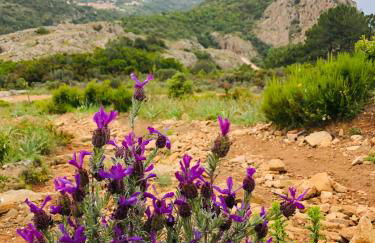 Piana - vue mer et village - Foto 23