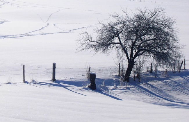 Graceful Holiday Home near Ski Area in Schmallenberg - Foto 29