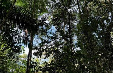 Morada do pôr do sol - Foto 31