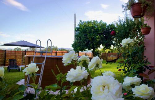 Rosinha Country House - Foto 5