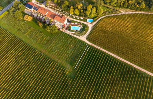 Agriturismo Corte Patrizia - Photo 10