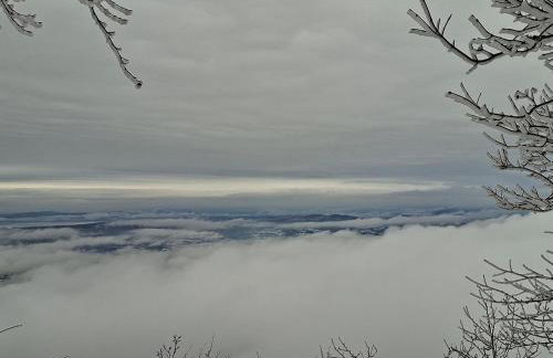 OG Apartman - Foto 6