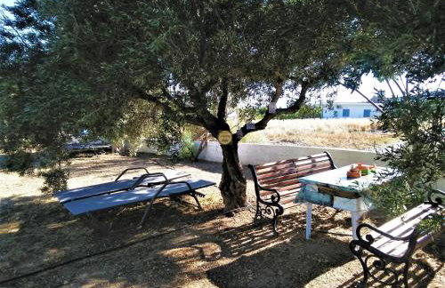 Apartments With Garden View Creta Ierapetra - Foto 32