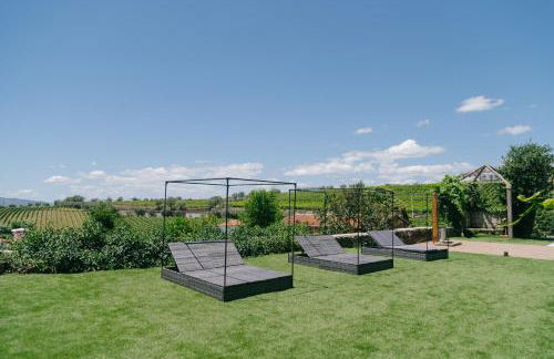 Quinta Vale de Sousa - Douro Valley - Foto 140