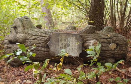 Jałówka - odpocznij na Podlasiu - Foto 35