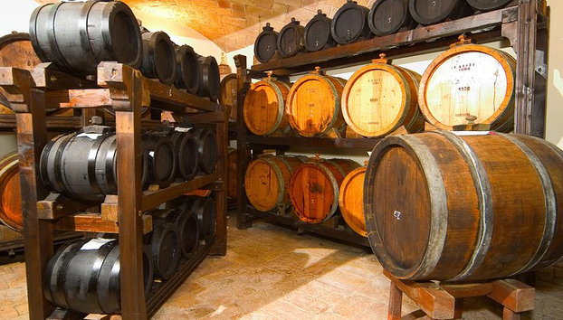 Balsamic Vinegar Experience with Private Transfer - Foto 2