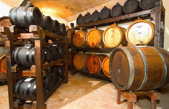 Experiencia de vinagre balsámico con traslado privado - Foto 1