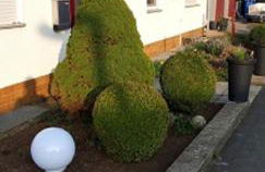 Ferienwohnung Frau Klara - Foto 25