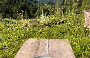 Przysiółek Flądrówka - Dom na odludziu z widokiem na Gorce i Tatry - Foto 45