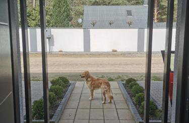 Tarasy Anastazewa - Foto 16