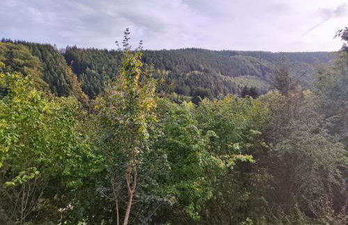 Wohlfühloase Eifelsteig - Foto 24