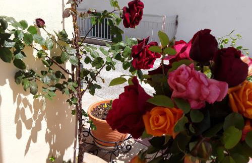 G. Kiapekou - Photo 23