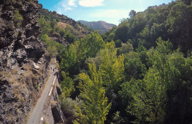 Casa Rural Arroyo de la Greda - Photo 29