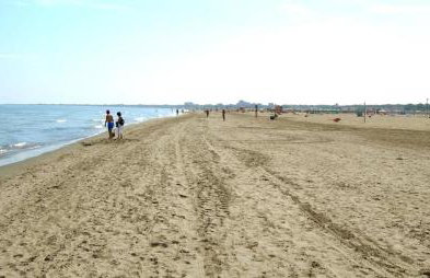 Sul Mare Smith - Foto 48