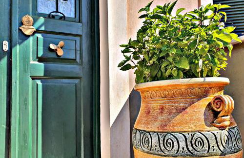 Acroploro - Photo 13