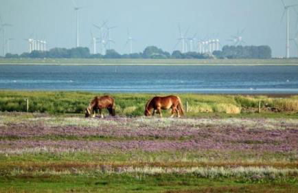 Wohnung 3 im Haus Wattenblick - Foto 14