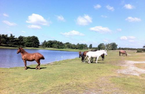 3 Bed in Brockenhurst oc-nfl82 - Foto 27