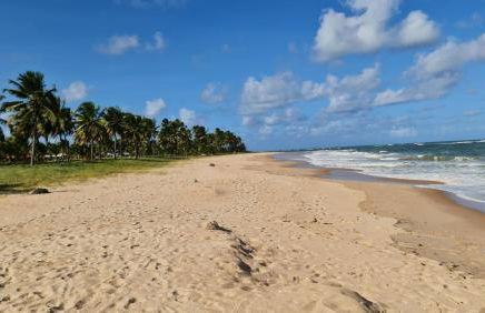 Apartamento espetacular na MELHOR praia da Bahia, GUARAJUBA é uma das únicas praias com selo azul do Brasil -Luxo, lazer, diversão e tranquilidade! Projetado para que você tenha a melhor experiência em hospedagem - Condominio tipo resort, o mais procurado - Foto 4