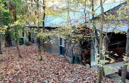 Secluded Forest Cabin Rental with Seasonal Pool near Natchez, Mississippi - Foto 2