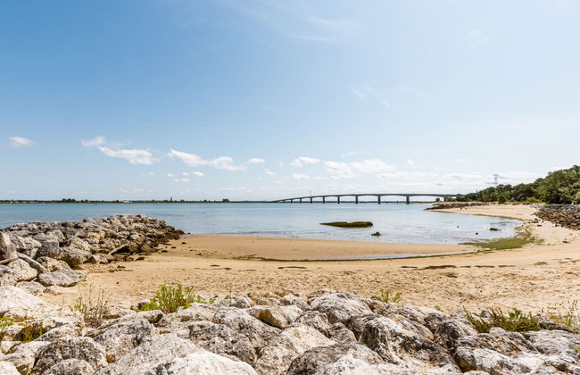 Les Narcisses - Foto 37