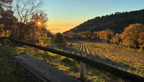 Les goûts et les couleurs - Foto 4