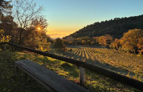 Les goûts et les couleurs - Foto 4
