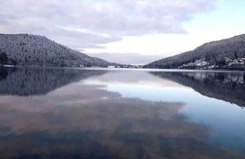 "Le Cabanon cendré" petit chalet cosy au coeur de Gérardmer - Foto 33