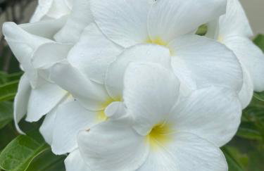 Apartamento no Condomínio Marina Clube - Foto 6