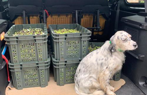 SetterHouseAgriHotel - Photo 63