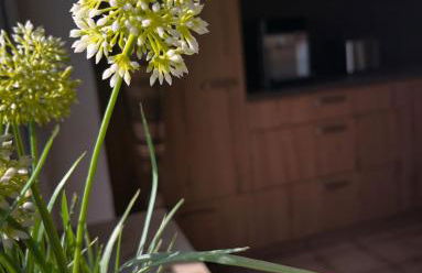 Ferienwohnung am Wald 2 - Foto 12