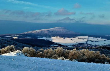 Rhön - Nestchen - Foto 17