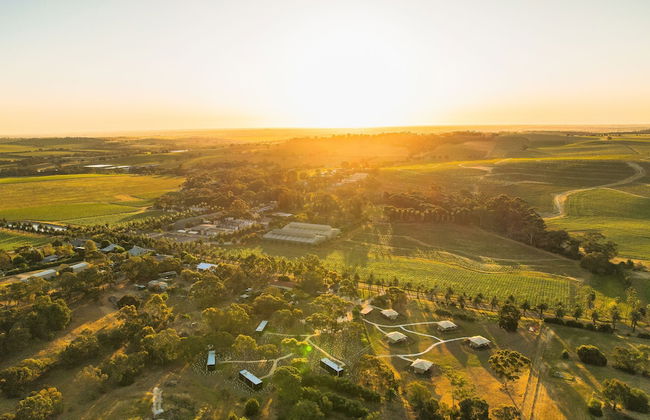 CABN X Seppeltsfield Barossa - Foto 1