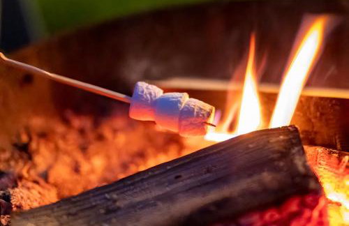 Luxury Glamping Cabin with Outdoor Bath on Cornish Meadow - Photo 13
