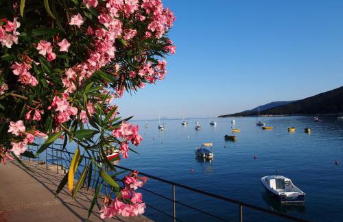 Âme de la nature - Foto 36