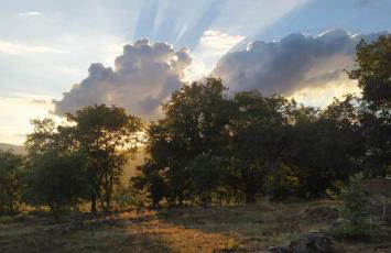 Pago de Yuste - Casa Rural Apartamentos - Foto 17