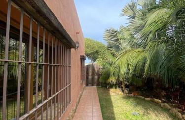 House near Conil with a Tropical Garden and Pool - Foto 8