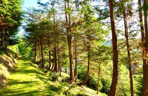 Apartament Nad Potokiem - Foto 30