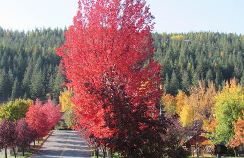 Large Studio Condo with Full Kitchen, Ski, Bike, Beautiful Balcony Views Hottub Fireplace - Foto 18