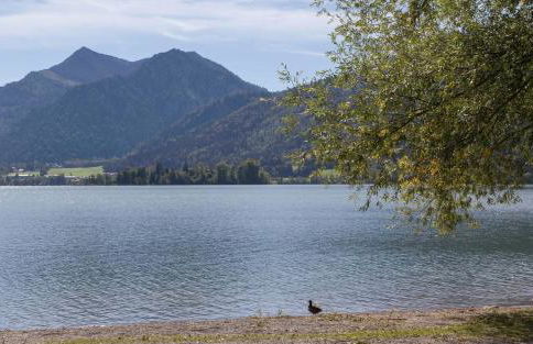 Haus Panorama - Foto 10