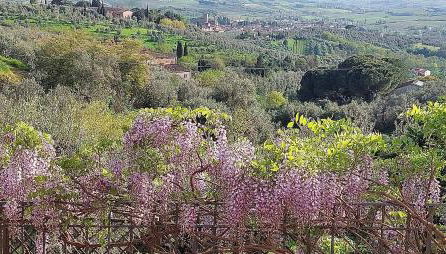 La Dimora di Leonardo-Vinci - Foto 2