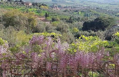 La Dimora di Leonardo-Vinci - Foto 2