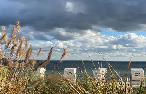FeWo SONNENDECK Familien-strandnah-Garten-Hunde-Sport-und Schwimmbadnah-HansaPark - Foto 11